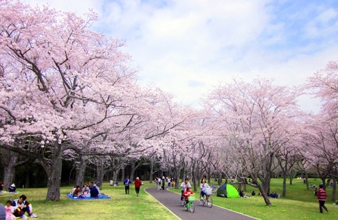 人が少ない静かな公園