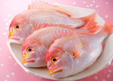 shokusu_image01