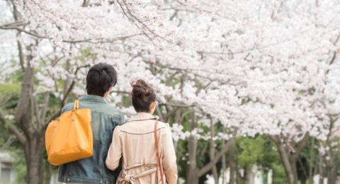 お花見デート